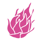 ドラゴンフルーツ塩