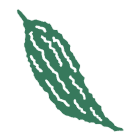 ゴーヤー塩