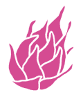 ドラゴンフルーツ塩