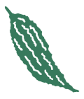 ゴーヤー塩