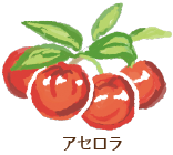 アセロラ