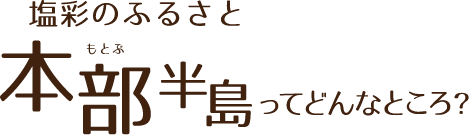 塩彩のふるさと
本部半島ってどんなところ？